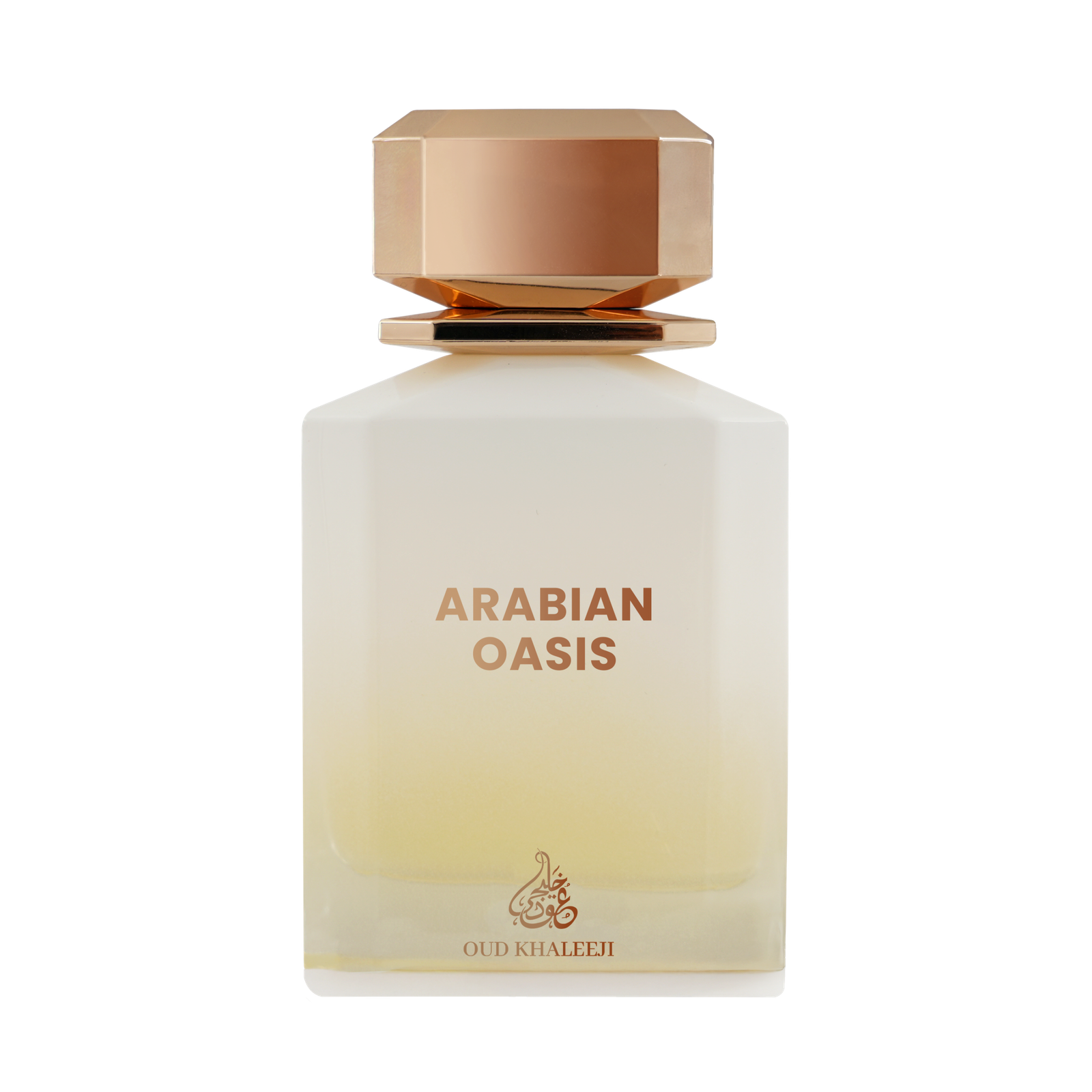 Arabian oasis